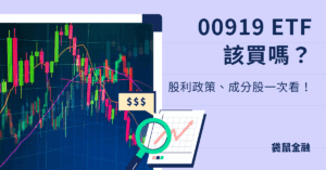 00919 該買嗎