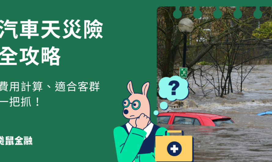 汽車天災險