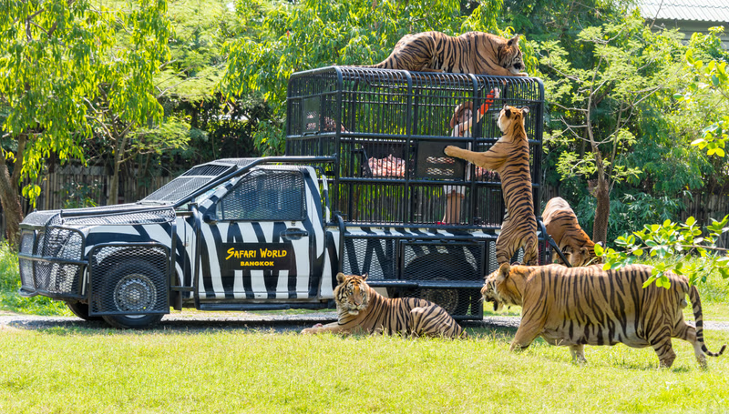 Safari World